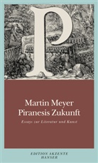 Martin Meyer - Piranesis Zukunft
