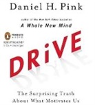 Daniel H. Pink, PINK DANIEL H, Daniel H. Pink - Drive (Hörbuch)