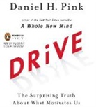 Daniel H. Pink, PINK DANIEL H, Daniel H. Pink - Drive (Hörbuch)