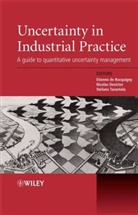 Edr De Rocquigny, Etienne de Rocquigny, Etienne (Electricite De France) Devi De Rocquigny, Etienne Devictor De Rocquigny, Nicolas Devictor, Etienne De Devictor Rocquigny... - Uncertainty in Industrial Practice