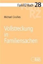 Michael Cirullies - Vollstreckung in Familiensachen