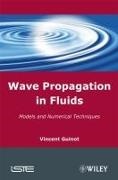 GUINOT, Vincent Guinot - WAVE PROPAGATION IN FLUIDS MODELS AND NU
