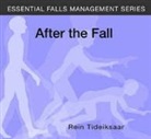 Rein Tideiksaar, Rien Tideiksaar - After the Fall