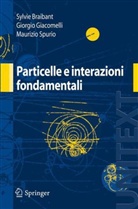 Sylvie Braibant, Giorgio Giacomelli, Giorgio M. Giacomelli, Maurizio Spurio - Particelle e interazioni fondamentali