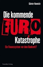 Günter Hannich - Die kommende Euro-Katastrophe