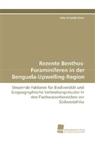 Julia Schmidt-Sinns - Rezente Benthos-Foraminiferen in der Benguela-Upwelling-Region