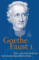 Johann Wolfgang von Goethe, Albrech Schöne, Albrecht Schöne - Faust - Der Tragödie Erster Teil