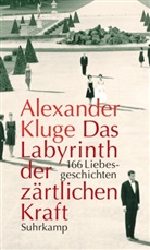 Alexander Kluge, Thoma Combrink, Thomas Combrink - Das Labyrinth der zärtlichen Kraft, m. DVD