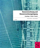 Franz Gianini, Anton Riniker - Konzernrechnung und Konzernrechnungslegung, m. 1 Buch