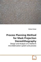 Ameya Limaye - Process Planning Method for Mask Projection  Stereolithography