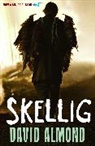 David Almond, Almond David - Skellig