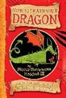 Cressida Cowell - Hiccup