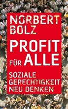 Norbert Bolz - Profit für alle