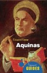 Edward Feser, Eward Feser - Auinas