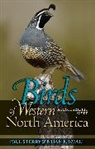 Brian Small, Brian E Small, Brian E. Small, Paul Sterry, Paul Small Sterry, Sterry Paul - Birds of Western North America