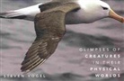 Steven Vogel - Glimpses of Cratures in Their Physical Worlds