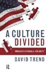 David Trend, Trend David - A Culture Divided
