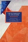 Jacques Bidet, Jacques Bidet, Stathis Kouvelakis - Critical Companion to Contemporary Marxism
