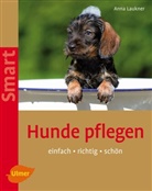 Anna Laukner - Hunde pflegen