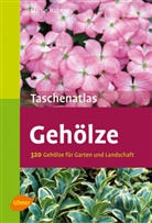 Martin Haberer - Taschenatlas Gehölze