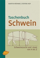 Steffe Hoy, Steffen Hoy, Martin Wähner - Taschenbuch Schwein