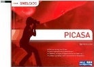 D. Holthuijsen - Snelgids Picasa / druk 1