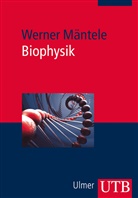 Werner Mäntele, Werner (Prof. Dr.) Mäntele - Biophysik