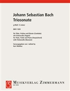 Johann Sebastian Bach, Kurt Walther - Triosonate g-Moll
