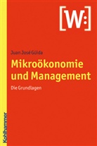 Juan J. Güida, Juan José Güida, Juan-José Güida - Mikroökonomie und Management