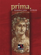 Marti Biermann, Martin Biermann, Jose Burdich, Josef Burdich, Roswitha Czimmek, Clemen Utz... - Prima, Ausgabe N: prima N Textband