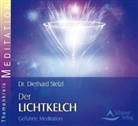 Diethard Stelzl - Der Lichtkelch, Audio-CD (Audiolibro)