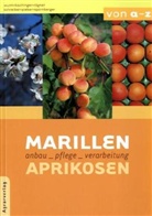 Lothar Wurm - Marillen, Aprikosen