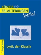 Gudrun Blecken - Lyrik der Klassik