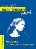 Werner Theurich - Antigone. Ein Mythos und seine Bearbeitungen