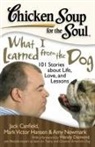 Jack Canfield, Jack (The Foundation for Self-Esteem) Canfield, Mark Victor Hansen, Amy Newmark - What I Learned from the Dog