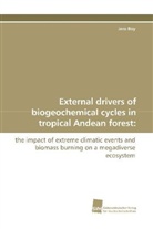 Jens Boy - External drivers of biogeochemical cycles in  tropical Andean forest:
