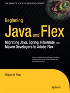 Filippo Di Pisa, Filippo di Pisa - Beginning Java and Flex