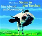 Marie Jones, Ernst Kahl, Harry Rowohlt, Ernst Kahl, Harry Rowohlt - Steine in den Taschen. Ein Abend im November, 4 Audio-CDs (Audio book)