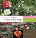 Peter Schneider - Right Rose, Right Place