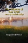 Jacqueline Degroot - The Widows of Sea Trail-Tessa of Crooked Gulley