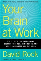 David Rock - Your Brain At Work