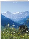 Ruth L Aebi, Ruth L. Aebi - Gstaad Saanenland