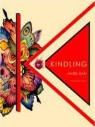 Jean James, James Jean - Kindling