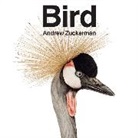 Andrew Zuckerman, Andrew Zuckerman - Bird