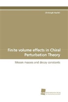 Christoph Haefeli - Finite volume effects in Chiral Perturbation Theory