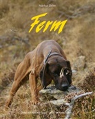 Markus Zeiler, Markus Zeiler - Ferm