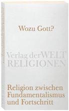 Peter Kemper, Al Mentzer, Alf Mentzer, Ulrich Sonnenschein - Wozu Gott? Religion zwischen Fundamentalismus und Fortschritt