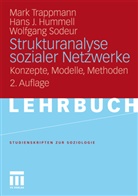 Hans J. Hummell, Hans-Joachi Hummell, Hans-Joachim Hummell, Wolf Sodeur, Wolfgang Sodeur, Mar Trappmann... - Strukturanalyse sozialer Netzwerke