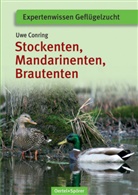 Uwe Conring - Stockenten, Mandarinenten, Brautenten
