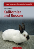 Joachim Kapp - Kalifornier und Russen
